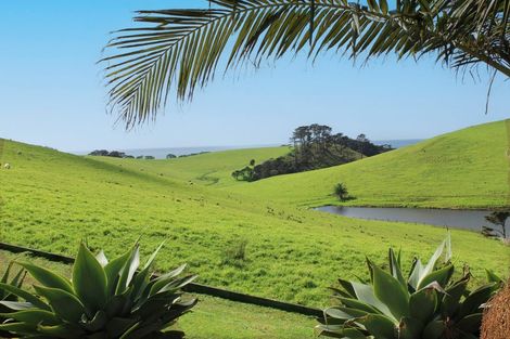 Photo of property in 408 Taiharuru Road, Taiharuru, Onerahi, 0192