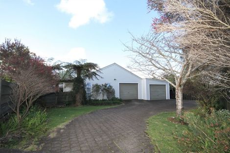 Photo of property in 58 Parry Palm Avenue, Waihi, 3610