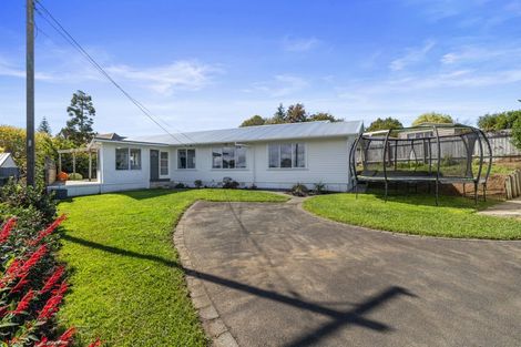 Photo of property in 40 George Street, Morrinsville, 3300