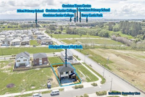 Photo of property in 3 Paripari Street, Flat Bush, Auckland, 2019