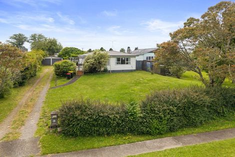 Photo of property in 113 Buckland Street, Putaruru, 3411