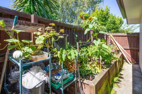 Photo of property in 31 Dalkeith Street, Hoon Hay, Christchurch, 8025