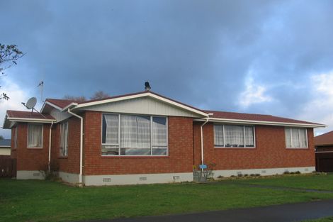Photo of property in 38 Churcher Street, Feilding, 4702