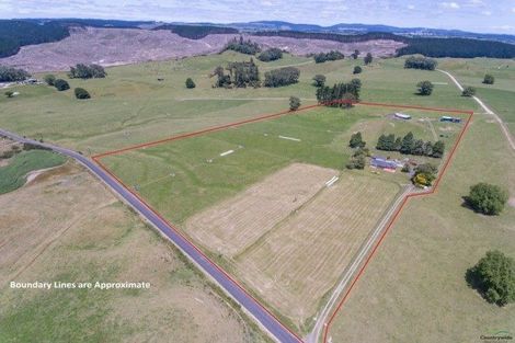 Photo of property in 244 Newell Road, Kinleith, Tokoroa, 3491