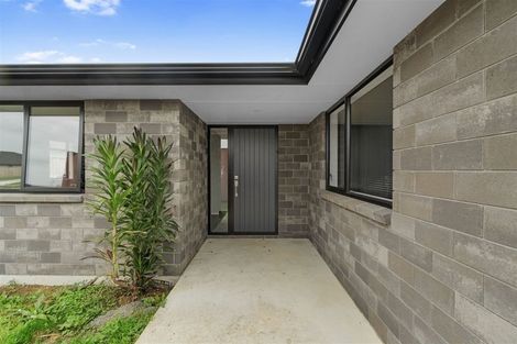 Photo of property in 67 Murray Ward Drive, Te Kauwhata, 3710
