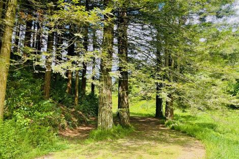 Photo of property in 308 Brown Road, Te Puke, 3188