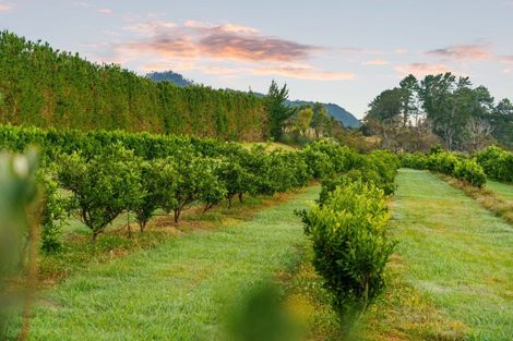 Photo of property in 694a State Highway 2, Tahawai, Katikati, 3170