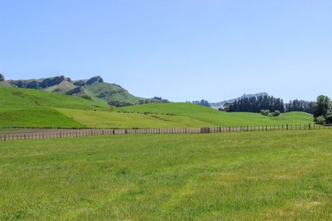 Photo of property in 540 Matangi Road, Matangi, Hamilton, 3284