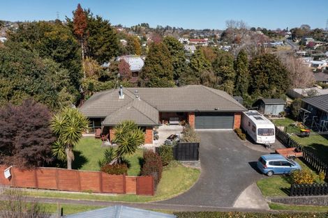 Photo of property in 137 Ohauiti Road, Hairini, Tauranga, 3112