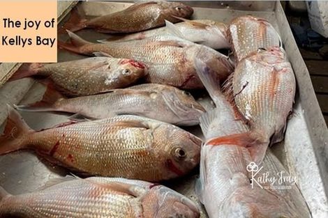 Photo of property in 70 Rototuna Road, Pouto, Te Kopuru, 0391