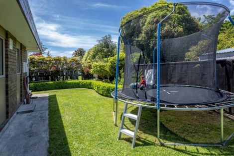 Photo of property in 8a Dee Street, Levin, 5510