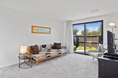 Photo of property in 55 Jimmy Adams Terrace, Lincoln, 7608