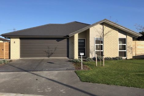 Photo of property in 14 Catchpole Place, Woodend, 7610