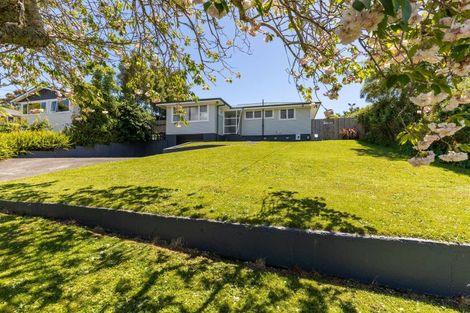 Photo of property in 52 Clawton Street, Westown, New Plymouth, 4310
