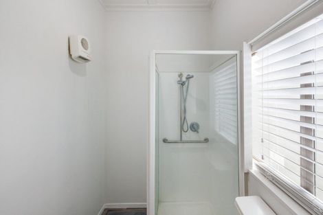 Photo of property in 113 Shamrock Street, Takaro, Palmerston North, 4412