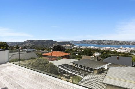 Photo of property in 29 Selkirk Street, Roslyn, Dunedin, 9010