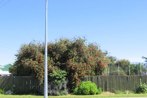 Photo of property in 256 Ormond Road, Mangapapa, Gisborne, 4010