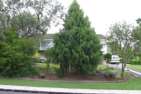 Photo of property in 17 Nandana Drive, Glen Eden, Auckland, 0602