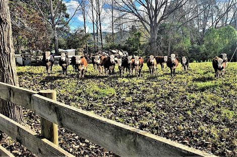 Photo of property in 31 Ward Road, Matakana, Warkworth, 0985