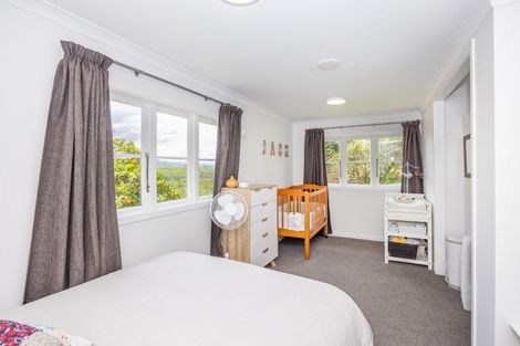 Photo of property in 30 Long View Crescent, Otorohanga, 3900