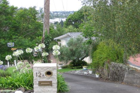 Photo of property in 12a Sadgrove Terrace, Mount Albert, Auckland, 1025