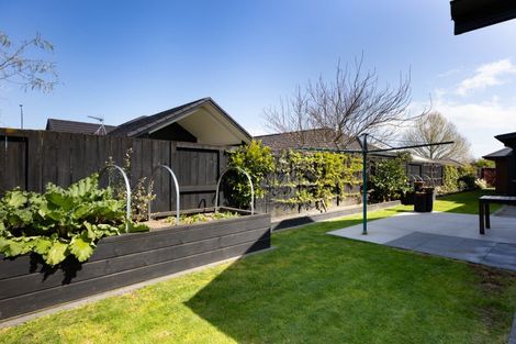 Photo of property in 17 Kowhai Drive, Cambridge, 3434