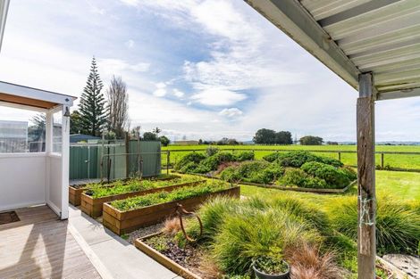 Photo of property in 54 Jellicoe Road, Ruawai, 0530