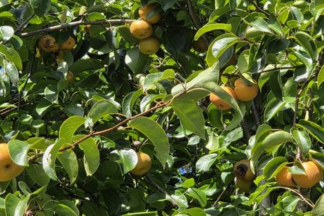 Photo of property in 314f Waipapa Road, Waipapa, 0230