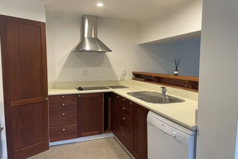 Photo of property in 317 The Terrace, Te Aro, Wellington, 6011