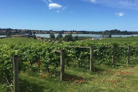 Photo of property in 49 Aranui Road, Mapua, 7005