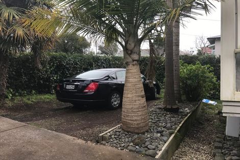 Photo of property in 28 Lloyd Avenue, Mount Albert, Auckland, 1025