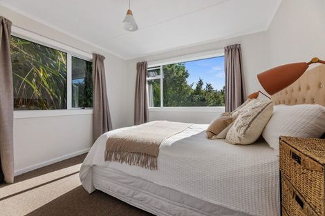 Photo of property in 51 Buccleugh Street, North East Valley, Dunedin, 9010