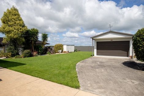 Photo of property in 29 Benner Drive, Ngatea, 3503