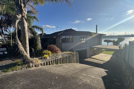 Photo of property in 109 Haukore Street, Hairini, Tauranga, 3112