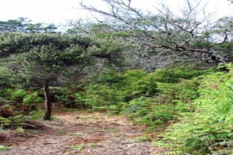 Photo of property in 63 Trig Road, Houhora, Kaitaia, 0484