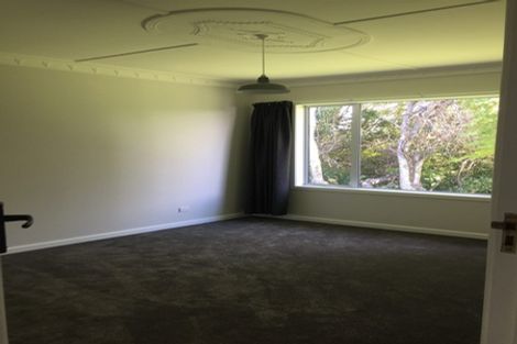 Photo of property in 17 Scandrett Street, Appleby, Invercargill, 9812