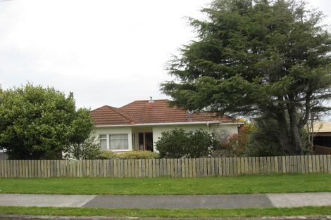 Photo of property in 29 Graham Street, Levin, 5510