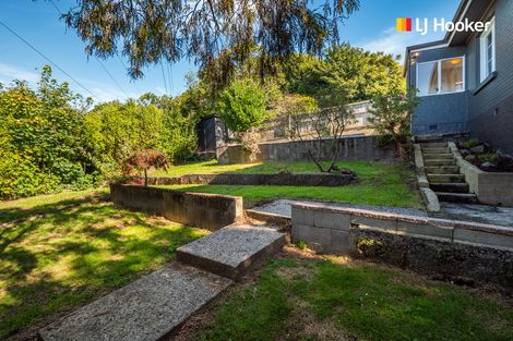 Photo of property in 39 Forfar Street, Clyde Hill, Dunedin, 9011