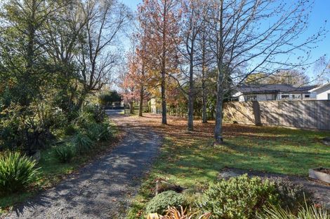 Photo of property in 55 Costley Street, Carterton, 5713