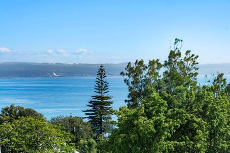 Photo of property in 11 Coleman Terrace, Hospital Hill, Napier, 4110