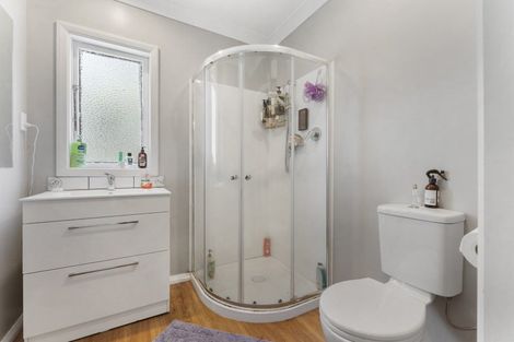 Photo of property in 226 Mangahao Road, Shannon, Palmerston North, 4474