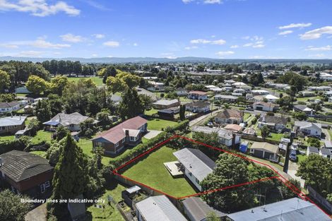 Photo of property in 17 Thornton Street, Putaruru, 3411