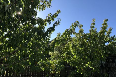 Photo of property in 44 Hazlewood Avenue, Karori, Wellington, 6012