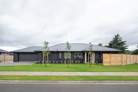 Photo of property in 125 Turnbull Drive, Witherlea, Blenheim, 7201