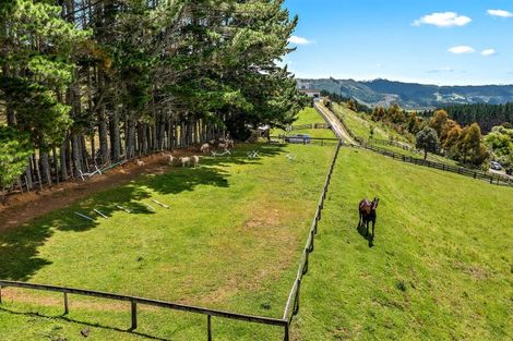 Photo of property in 304 Tuhirangi Road, Makarau, Warkworth, 0984