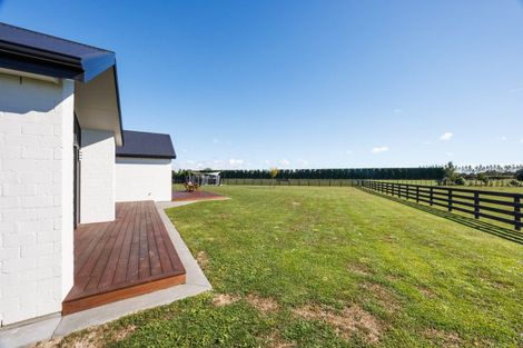Photo of property in 79 Jackeytown Road, Tiakitahuna, Palmerston North, 4477