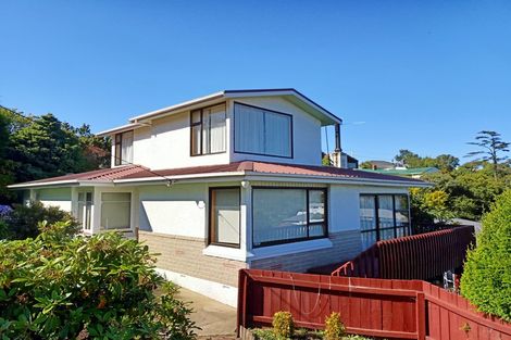 Photo of property in 48 Evans Street, Opoho, Dunedin, 9010