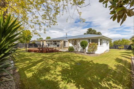 Photo of property in 282 Tremaine Avenue, Takaro, Palmerston North, 4412