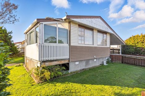 Photo of property in 12 Douglas Street, Levin, 5510