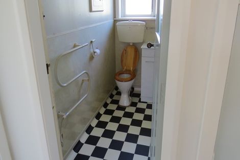 Photo of property in 55 Carey Street, Maeroa, Hamilton, 3200